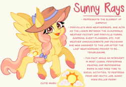 Size: 1280x886 | Tagged: safe, artist:carouselunique, derpibooru import, sunny rays, pegasus, pony, unicorn, g4, alternate cutie mark, alternate design, alternate hairstyle, alternate universe, blue background, braid, character swap, colored hooves, female, fetlock tuft, hat, horn, mare, reference sheet, side stars au, simple background, smiling, solo, text, unshorn fetlocks