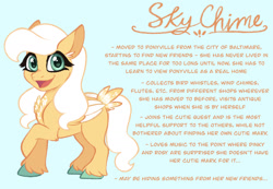 Size: 1280x887 | Tagged: safe, artist:carouselunique, derpibooru import, pegasus, pony, g4, alternate cutie mark, alternate design, alternate hairstyle, alternate universe, character swap, colored hooves, female, fetlock tuft, filly, foal, horn, reference sheet, side stars au, simple background, sky chime, smiling, solo, text, unshorn fetlocks