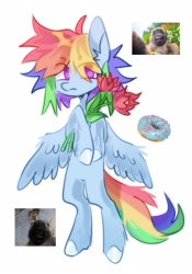 Size: 1509x2160 | Tagged: safe, artist:ksbanan, derpibooru import, rainbow dash, pegasus, pony, semi-anthro, donut, flower, food, photo, simple background, solo, white background