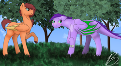 Size: 1280x694 | Tagged: safe, artist:marsh-mal-oh, derpibooru import, oc, oc only, oc:jasper, dracony, hybrid, pegasus, pony, dragon wings, duo, duo female, ears, female, floppy ears, folded wings, grass, interspecies offspring, lesbian, mare, offspring, offspring shipping, parent:big macintosh, parent:fluttershy, parent:rarity, parent:spike, parents:fluttermac, parents:sparity, pegasus oc, shy, tree, unnamed oc, wings