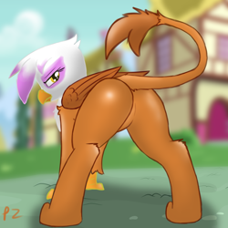 Size: 6000x6000 | Tagged: safe, artist:pzkratzer, derpibooru import, gilda, griffon, 30 minute art challenge, butt, butt focus, featureless crotch, gildonk, looking back, plot, presenting, raised tail, sexy, sketch, solo, stupid sexy gilda, sultry pose, tail, unamused