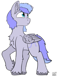 Size: 1504x2000 | Tagged: safe, artist:dsksh, derpibooru import, oc, oc only, oc:discoordination, pegasus, pony, blue eyes, chest fluff, ear fluff, ears, folded wings, head turn, high res, looking up, male, pegasus oc, pegasus wings, raised hoof, raised leg, simple background, solo, stallion, standing, tail, transparent background, two toned mane, two toned tail, unshorn fetlocks, wings