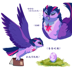 Size: 1080x1080 | Tagged: safe, artist:rr29578979, derpibooru import, twilight sparkle, bird, owl, g4, birdified, book, egg, species swap, twilight sparkowl