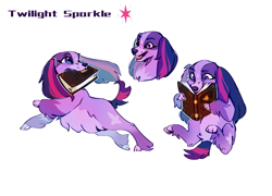 Size: 3045x2196 | Tagged: safe, artist:rr29578979, derpibooru import, twilight sparkle, dog, g4, book, dogified, female, mouth hold, simple background, species swap, twilight barkle, white background