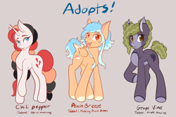 Size: 2048x1365 | Tagged: safe, artist:mscolorsplash, derpibooru import, oc, oc only, oc:chili pepper, oc:grape vine, oc:peach breeze, earth pony, pegasus, pony, unicorn, bald face, blaze (coat marking), coat markings, colored pupils, concave belly, earth pony oc, facial markings, female, gray background, horn, lidded eyes, long legs, mare, name, open mouth, open smile, pale belly, pegasus oc, simple background, smiling, text, trio, unicorn oc