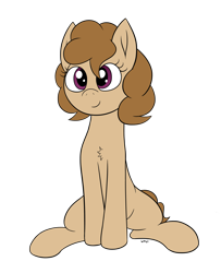 Size: 2344x2884 | Tagged: safe, artist:wapamario63, oc, oc only, oc:dusty, earth pony, pony, chest fluff, cute, female, mare, simple background, sitting, solo, transparent background