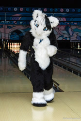 Size: 1024x1535 | Tagged: safe, derpibooru import, oc, oc only, oc:wolfsong dreamer, bowling, fursuit, irl, photo, ponysuit, solo