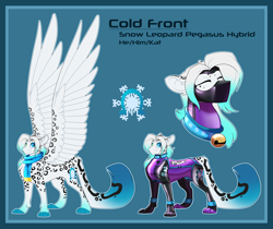 Size: 7500x6300 | Tagged: safe, artist:parrpitched, derpibooru import, oc, big cat, hybrid, leopard, pony, snow leopard, character design, clothes, concave belly, fit, large wings, latex, latex suit, reference sheet, scarf, slender, thin, wings