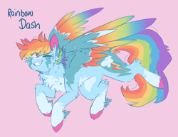 Size: 1636x1260 | Tagged: safe, artist:pretzelprince, derpibooru import, rainbow dash, pegasus, pony, g4, alternate color palette, alternate design, alternate hairstyle, alternate tailstyle, blue coat, blue text, cheek fluff, chest fluff, coat markings, colored hooves, colored pinnae, colored wings, concave belly, ear fluff, ears, eye clipping through hair, eyebrows, eyebrows visible through hair, facial markings, fangs, female, fetlock tuft, flying, leg fluff, long tail, looking back, mare, messy mane, messy tail, multicolored hair, multicolored mane, multicolored tail, multicolored wings, narrowed eyes, one eye closed, partially open wings, pink background, pink eyes, rainbow hair, rainbow tail, rainbow wings, raised hoof, raised leg, redesign, sharp teeth, short mane, simple background, smiling, socks (coat marking), solo, stripe (coat marking), tail, teeth, text, wing fluff, wingding eyes, wings