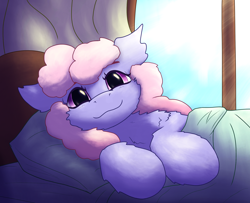 Size: 2274x1849 | Tagged: safe, artist:gosha305, derpibooru import, rainbowshine, earth pony, g4, bed, bust, cheek fluff, crepuscular rays, cute, digital art, ear fluff, ears, female, fluffy, looking at you, lying down, mare, morning, morning ponies, on side, portrait, smiling, smiling at you, solo, under the covers, window