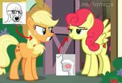 Size: 939x637 | Tagged: safe, derpibooru import, edit, edited screencap, editor:rimour, screencap, applejack, strawberry sunrise, earth pony, pegasus, pony, g4, honest apple, angry, calm, duo, duo female, female, irritated, looking at each other, looking at someone, meme, mewing, ponyville, quiet, wojak