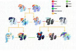 Size: 750x500 | Tagged: safe, artist:eliteunicorns, derpibooru import, bow hothoof, rainbow dash, rumble, soarin', thunderlane, windy whistles, oc, oc:cloud crackle, oc:jet stream, oc:lightning bolts, oc:petrichor, oc:silver lining, oc:storm front, pegasus, pony, chart, female, male, mare, offspring, parent:bow hothoof, parent:rainbow dash, parent:soarin', parent:windy whistles, parents:soarindash, parents:windyhoof, shipping, soarindash, stallion, straight