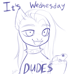 Size: 2000x2000 | Tagged: safe, artist:lina, artist:megabait, derpibooru import, oc, oc only, oc:lina, frog, pony, bust, it is wednesday my dudes, meme, monochrome, portrait, sketch, solo, wednesday