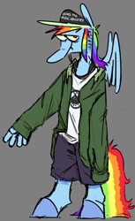 Size: 734x1200 | Tagged: dead source, safe, artist:love2gruel, derpibooru import, rainbow dash, anthro, pegasus, baseball cap, cap, clothes, female, gray background, hat, jacket, shorts, simple background, solo