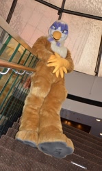 Size: 761x1280 | Tagged: safe, derpibooru import, gilda, fursuit, irl, photo, solo