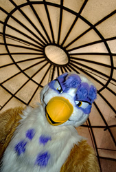 Size: 864x1280 | Tagged: safe, derpibooru import, gilda, griffon, bust, fursuit, irl, photo, portrait, solo