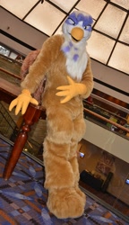 Size: 738x1280 | Tagged: safe, derpibooru import, gilda, griffon, fursuit, indoors, irl, photo, solo