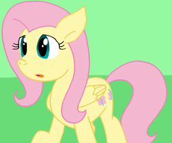 Size: 866x722 | Tagged: safe, artist:cmara, derpibooru import, fluttershy, pegasus, pony, g4, female, solo