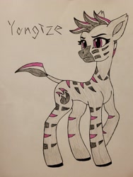 Size: 3024x4032 | Tagged: safe, artist:lispp, artist:veprem, derpibooru import, oc, oc only, oc:yangtze, zebra, colored, concave belly, female, fit, mare, slender, solo, thin, trace, traditional art, zebra oc