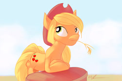 Size: 1280x853 | Tagged: safe, artist:eleganceliberty, derpibooru import, applejack, earth pony, g4, hat, solo, straw