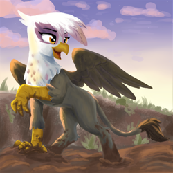 Size: 2918x2918 | Tagged: safe, artist:pzkratzer, derpibooru import, gilda, griffon, cloud, cloudy, concave belly, dirty, fit, mud, muddy, muddy hooves, ravine, slender, solo, spread wings, stars, sunset, swamp, thin, wings