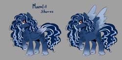 Size: 1280x628 | Tagged: safe, artist:paltis, derpibooru import, oc, oc:moonlit shores, pegasus, pony, pegasus oc, solo