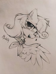 Size: 1539x2048 | Tagged: safe, artist:mirtash, derpibooru import, oc, oc only, pegasus, pegasus oc, sketch, solo, traditional art