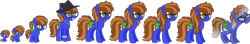 Size: 1900x332 | Tagged: safe, artist:blues-edits, derpibooru import, oc, oc only, oc:bluebook, pegasus, pony, age progression, baby, baby pony, base used, bracelet, braces, colored wings, ear piercing, earring, elderly, female, foal, freckles, glasses, hat, jewelry, necklace, older, pegasus oc, piercing, simple background, teenager, transparent background, wings