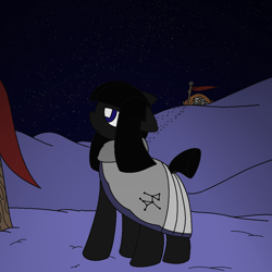 Size: 1020x1020 | Tagged: safe, artist:castafae, derpibooru import, oc, oc only, oc:ambrosia, earth pony, pony, cloak, clothes, ears, female, flag, floppy ears, frown, mare, night, snow, solo, standing, stars, tent, wingding eyes