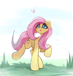 Size: 3906x4096 | Tagged: safe, artist:jfrxd, derpibooru import, fluttershy, butterfly, pegasus, pony, looking up, solo