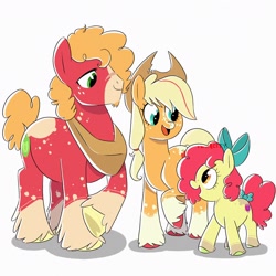 Size: 3000x3000 | Tagged: safe, artist:texacity, derpibooru import, apple bloom, applejack, big macintosh, earth pony, pony, alternate design, alternate hairstyle, apple siblings, apple sisters, beard, bow, brother and sister, coat markings, facial hair, female, filly, foal, male, open mouth, siblings, simple background, sisters, socks (coat marking), stallion, tail, tail bow, trio, unshorn fetlocks, white background