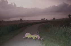 Size: 563x365 | Tagged: safe, artist:hionazzz, derpibooru import, part of a set, fluttershy, pegasus, pony, g4, camera flashes, depressed, dirt road, face down, field, fog, forest, grass, green background, head in hooves, irl, nature, overcast, photo, photography, real life background, scared, simple background, solo, tree, weeds