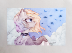 Size: 3659x2672 | Tagged: safe, artist:jsunlight, derpibooru import, oc, oc:buvany, pegasus, pony, solo, traditional art