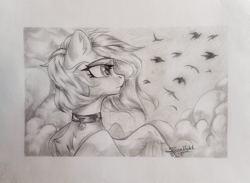 Size: 3659x2672 | Tagged: safe, alternate version, artist:jsunlight, derpibooru import, oc, oc:buvany, pegasus, pony, solo, traditional art