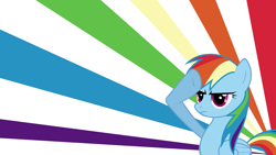 Size: 1920x1080 | Tagged: safe, artist:huij117, derpibooru import, rainbow dash, pegasus, g4, salute, wallpaper