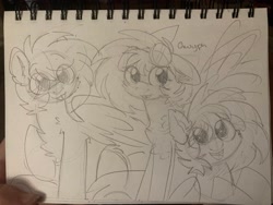 Size: 4032x3024 | Tagged: safe, artist:puppie, derpibooru import, oc, oc only, oc:gryph xander, pegasus, cute, male, sketch, solo, stallion, traditional art