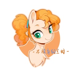 Size: 2000x2000 | Tagged: safe, artist:长海, derpibooru import, pear butter, earth pony, pony, bust, chinese, female, filly, foal, portrait, simple background, solo, text, white background, younger