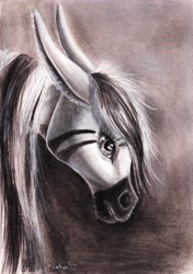 Size: 4770x6783 | Tagged: safe, artist:cahandariella, derpibooru import, oc, oc:cahan, zebra, bust, female, mare, mixed media, monochrome, portrait, solo, traditional art, zebra oc