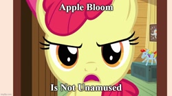 Size: 888x499 | Tagged: safe, derpibooru import, edit, edited screencap, screencap, apple bloom, earth pony, pony, g4, just for sidekicks, amused, caption, clubhouse, crusaders clubhouse, female, filly, foal, image macro, imgflip, meme, meme face, rainbow dash balloon, solo, text