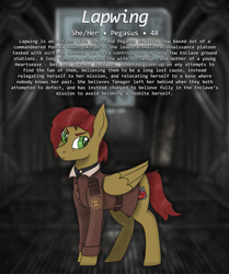 Size: 1185x1420 | Tagged: safe, artist:owslafa, derpibooru import, oc, oc:lapwing, pegasus, fallout equestria, enclave, grand pegasus enclave, reference sheet