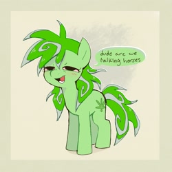 Size: 2256x2253 | Tagged: safe, artist:syrupyyy, derpibooru import, oc, oc only, oc:stoney poney, earth pony, pony, beige background, blushing, dialogue, drugs, earth pony oc, female, green coat, high, high res, lidded eyes, long mane, long tail, mare, messy mane, messy tail, open mouth, open smile, passepartout, pink sclera, simple background, smiling, solo, speech bubble, standing, stoned, tail, talking, text, two toned mane, two toned tail