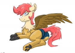 Size: 1280x916 | Tagged: safe, artist:pzkratzer, derpibooru import, oc, oc only, oc:ponygriff, hybrid, butt, clothes, male, panties, paws, plot, ponygriff, simple background, solo, speedo, spread wings, swimsuit, underwear, white background, wings