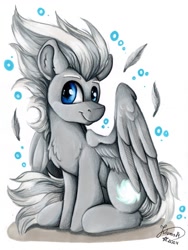Size: 902x1200 | Tagged: safe, artist:julunis14, derpibooru import, oc, oc only, oc:cloud swarmer, pegasus, pony, looking at you, male, pegasus oc, simple background, sitting, smiling, solo, white background