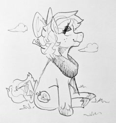 Size: 958x1013 | Tagged: safe, artist:punkittdev, derpibooru import, big macintosh, earth pony, pony, g4, bow, curly hair, curly mane, curly tail, eye clipping through hair, female, freckles, grass, hair bow, hoof shoes, lidded eyes, looking back, mare, pencil drawing, profile, sitting, sketch, smiling, tail, traditional art, trans big macintosh, trans day of visibility, trans female, transgender, yoke
