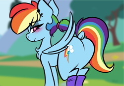 Size: 2388x1668 | Tagged: safe, artist:steelsoul, derpibooru import, rainbow dash, pony, alternate hairstyle, background pony, blushing, butt, clothes, dock, leg warmers, plot, rainbutt dash, rear view, solo, tail