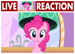 Size: 330x240 | Tagged: safe, derpibooru import, edit, edited screencap, screencap, pinkie pie, earth pony, pony, g4, season 1, the best night ever, caption, cute, diapinkes, female, image macro, live tucker reaction, looking at you, mare, meme, open mouth, reaction image, solo, text
