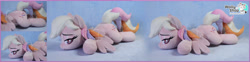 Size: 5358x1335 | Tagged: safe, derpibooru import, pegasus, pony, locket, photo, plushie, wollyshop