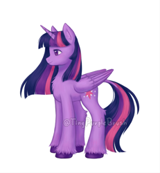 Size: 1182x1280 | Tagged: safe, artist:tinypurplebrush, derpibooru import, twilight sparkle, twilight sparkle (alicorn), alicorn, pony, g4, chest fluff, ear fluff, ears, female, leonine tail, mare, simple background, solo, tail, unshorn fetlocks, watermark, white background