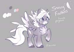 Size: 1893x1337 | Tagged: safe, artist:churrokat, derpibooru import, oc, oc only, oc:snowy feather, pegasus, pony, chest fluff, colored wings, female, gray background, mare, reference sheet, simple background, solo, unshorn fetlocks, wings