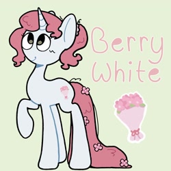 Size: 2048x2048 | Tagged: safe, artist:starrymysteryy, derpibooru import, oc, oc only, oc:berry white, pony, unicorn, adoptable, female, horn, mare, reference sheet, simple background